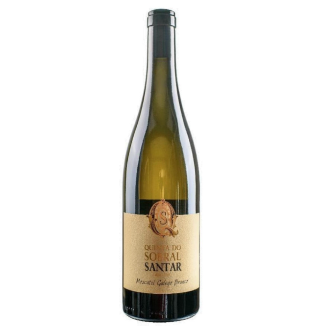 Quinta do Sobral de Santar Reserve Red 2022, 75CL