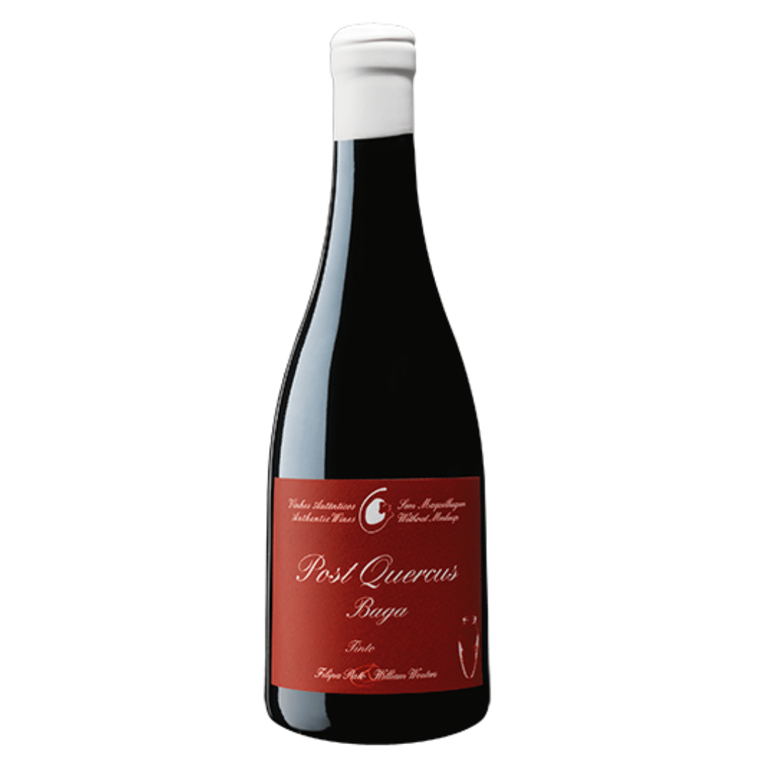 Filipa Pato Post Quercos Tinto 2023, 75cl
