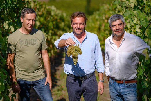 BOTTLED STORIES  - VINHOS QUINTA DE MONFORTE
