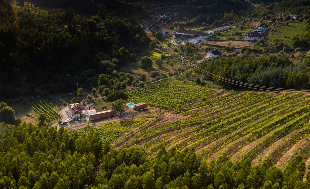 BOTTLED STORIES - QUINTA DA ALDEIA NOVA
