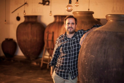 BOTTLED STORIES - ENÓLOGO PEDRO RIBEIRO & VINHOS ROCIM