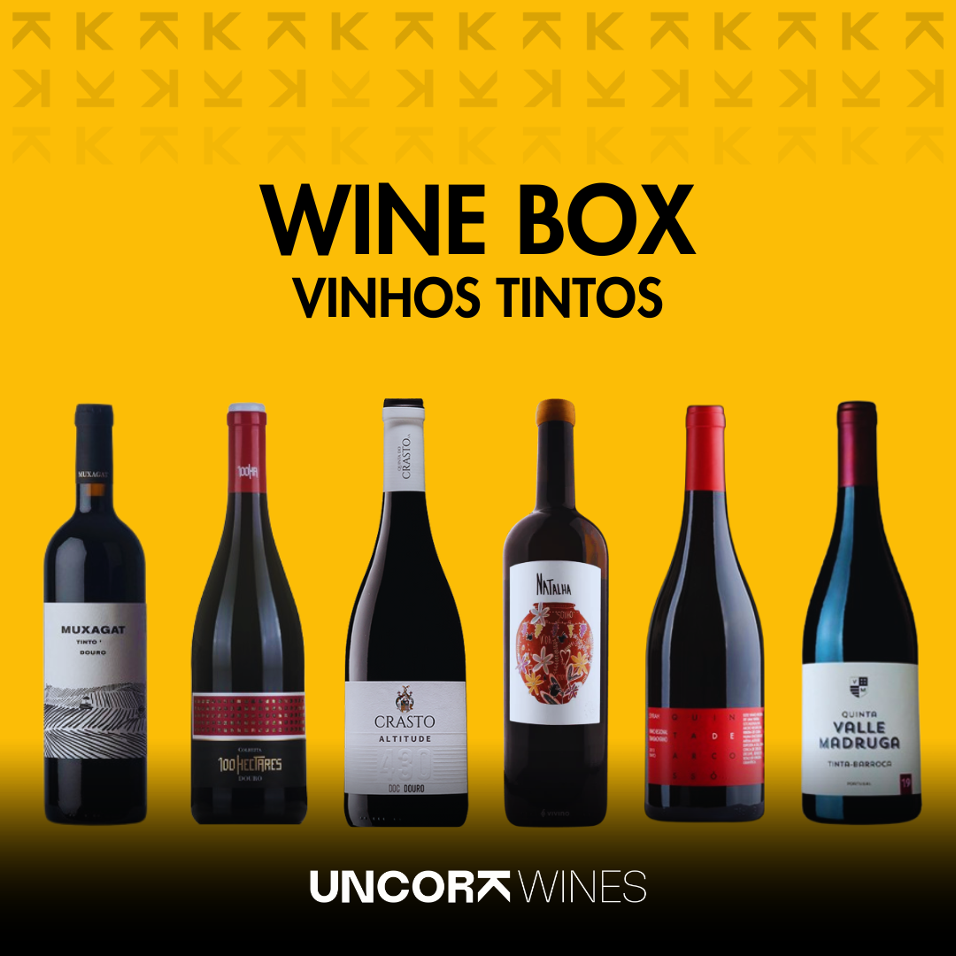 Wine Box Vinhos Tintos