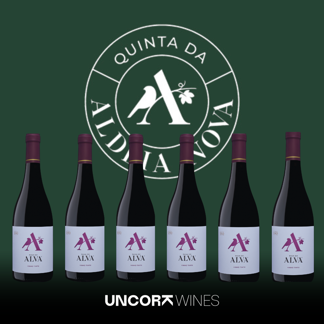 Quinta Aldeia Nova Raiva do Alva Rouge 2022, 75cl