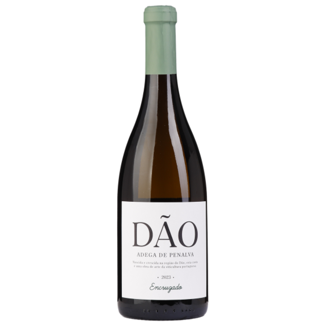 Adega de Penalva Encruzado Branco 2023, 75cl