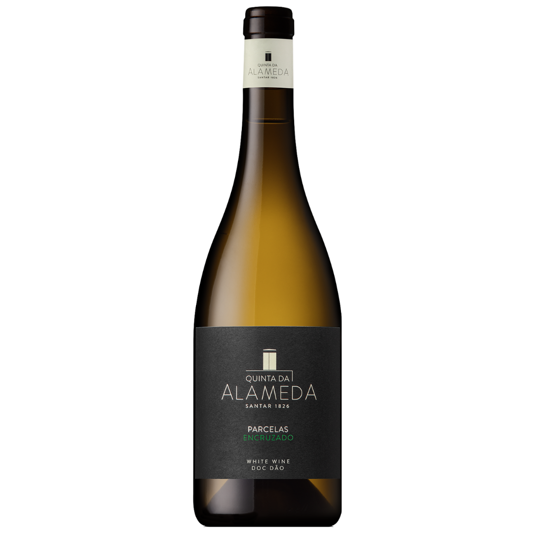 Quinta da Alameda Parcelas Encruzado Blanc 2023, 75cl