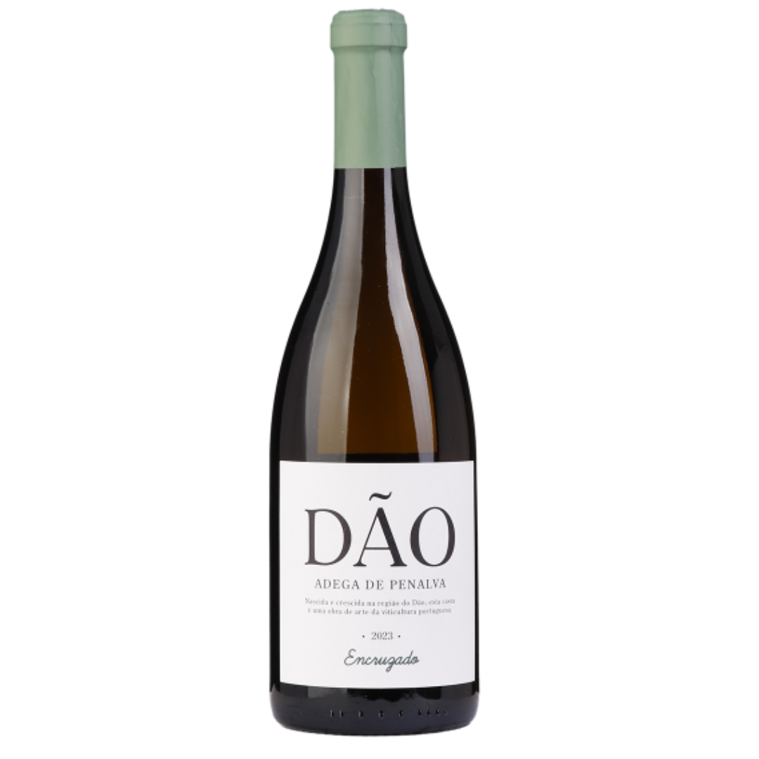 Adega de Penalva Encruzado Branco 2023, 75cl