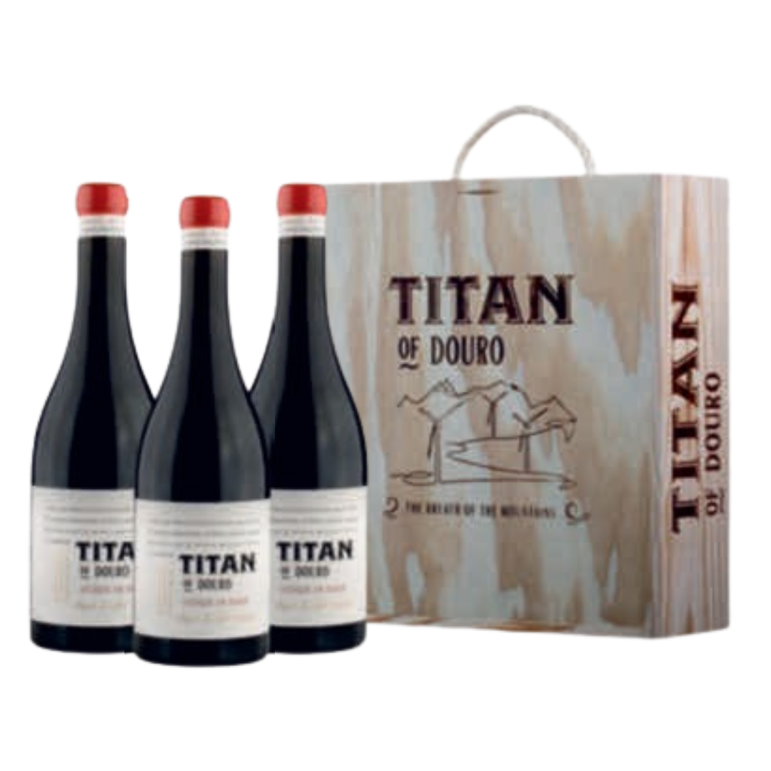 Conjunto 3 Garrafas Vale dos Mil Tinto 2021, 75cl