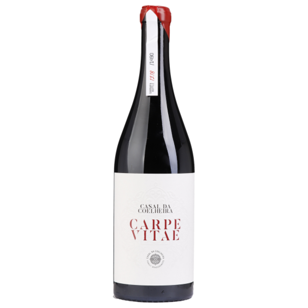 Casal da Coelheira Amphora Red 2023, 500ml