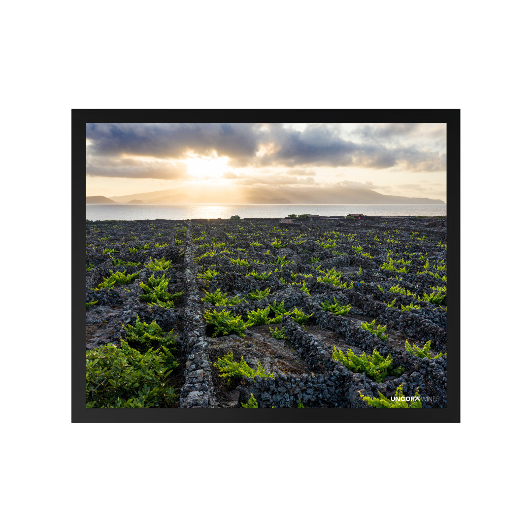Moldura Azores Vineyards