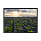 Azores Vineyards Frame