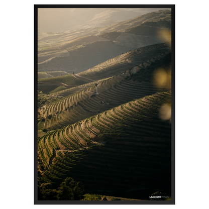 Douro Valley Vineyards Frame
