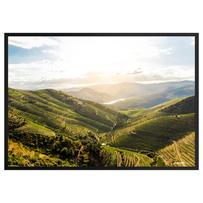 Douro River Frame
