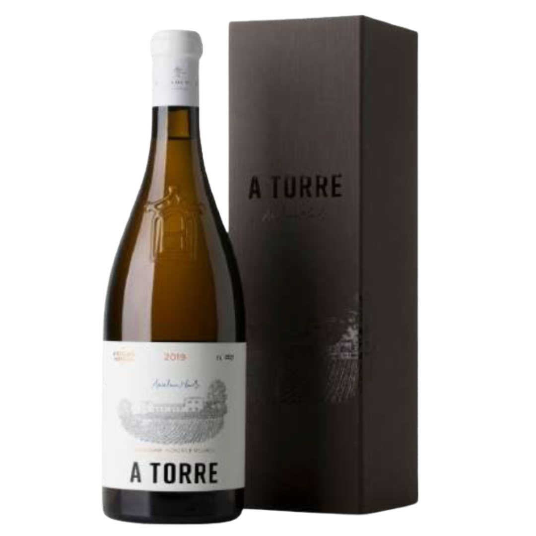 Conjunto Anselmo Mendes A Torre