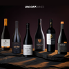 Douro Discovery Case