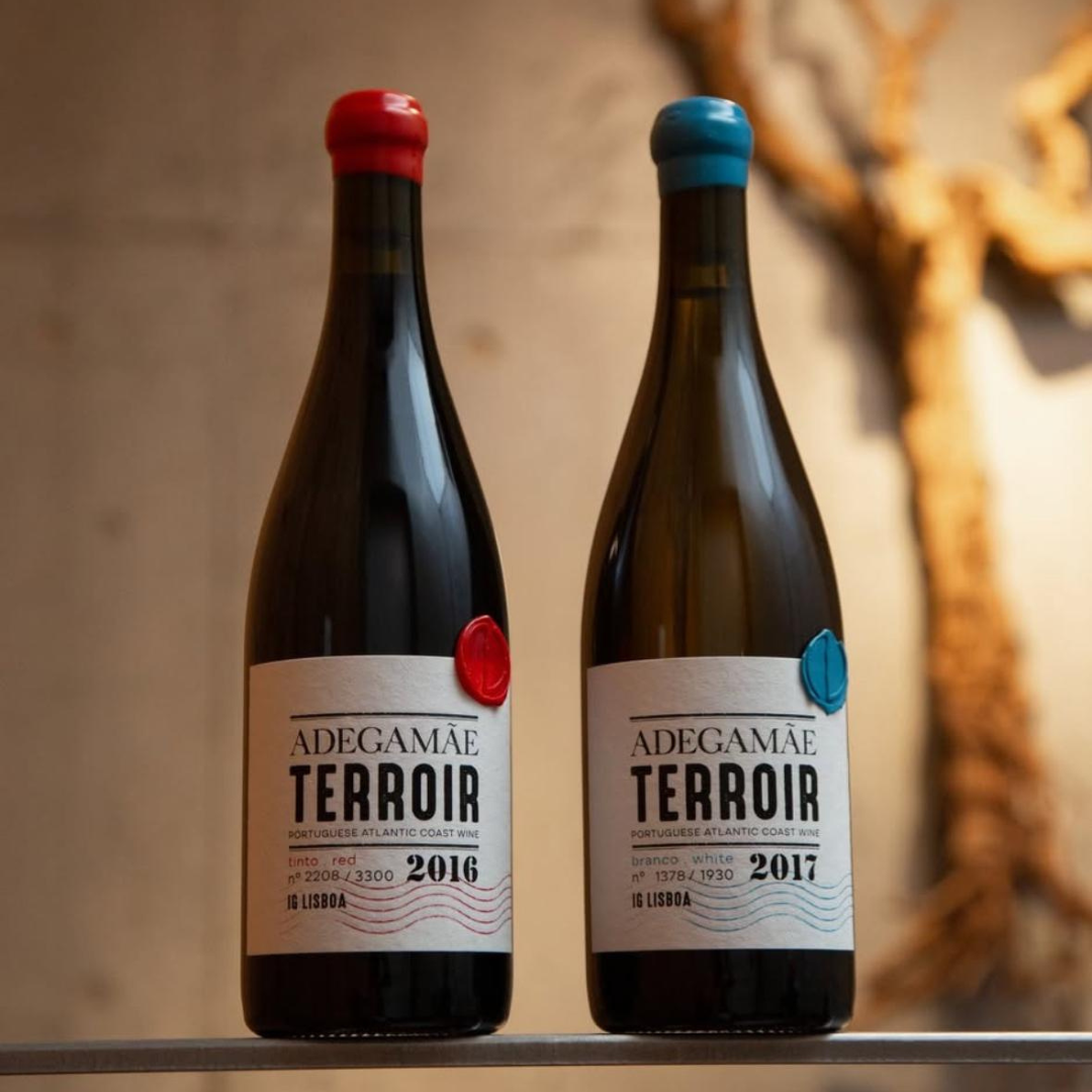 Adegamãe Special Editions - Visita e Prova de Vinhos