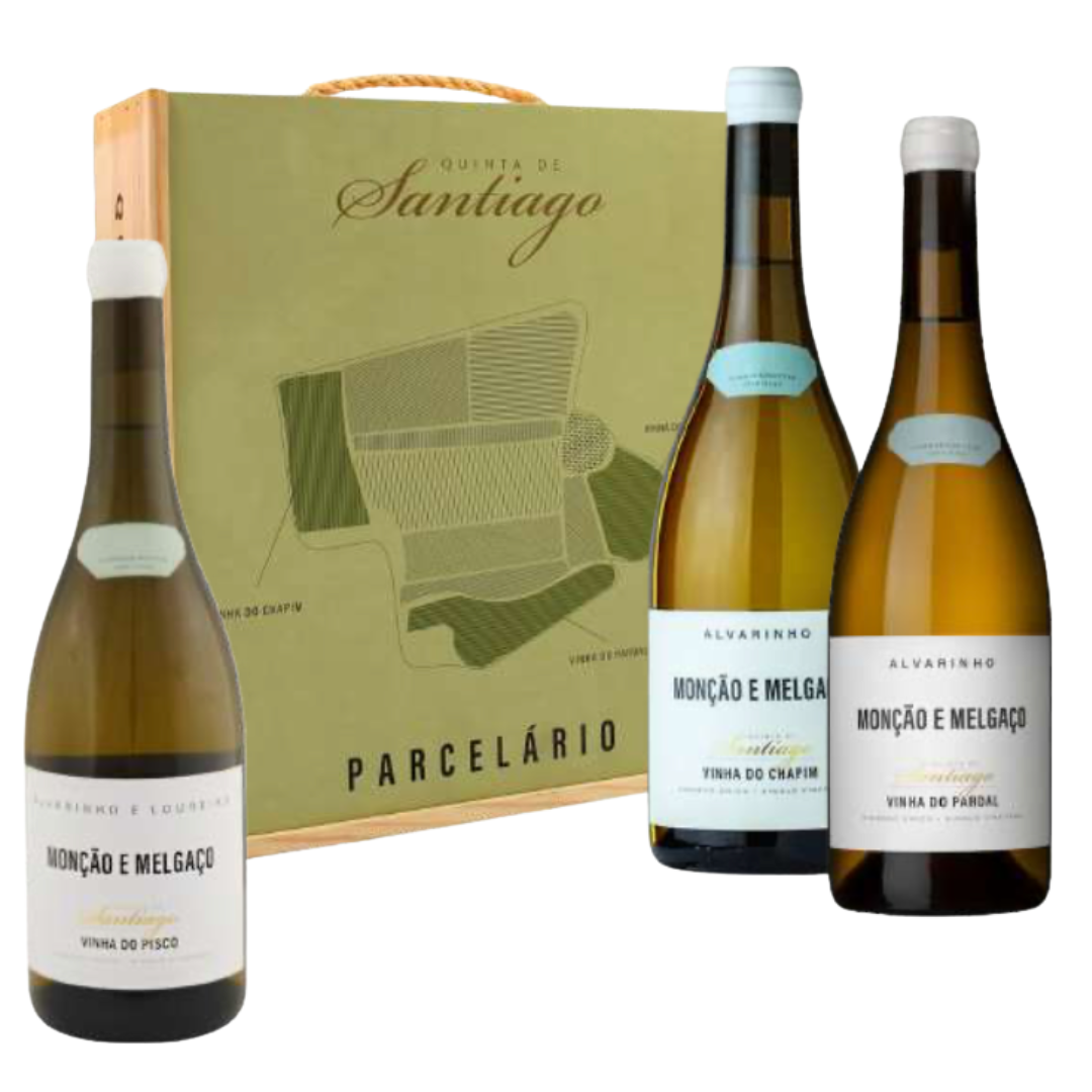 Conjunto Quinta de Santiago Parcelário