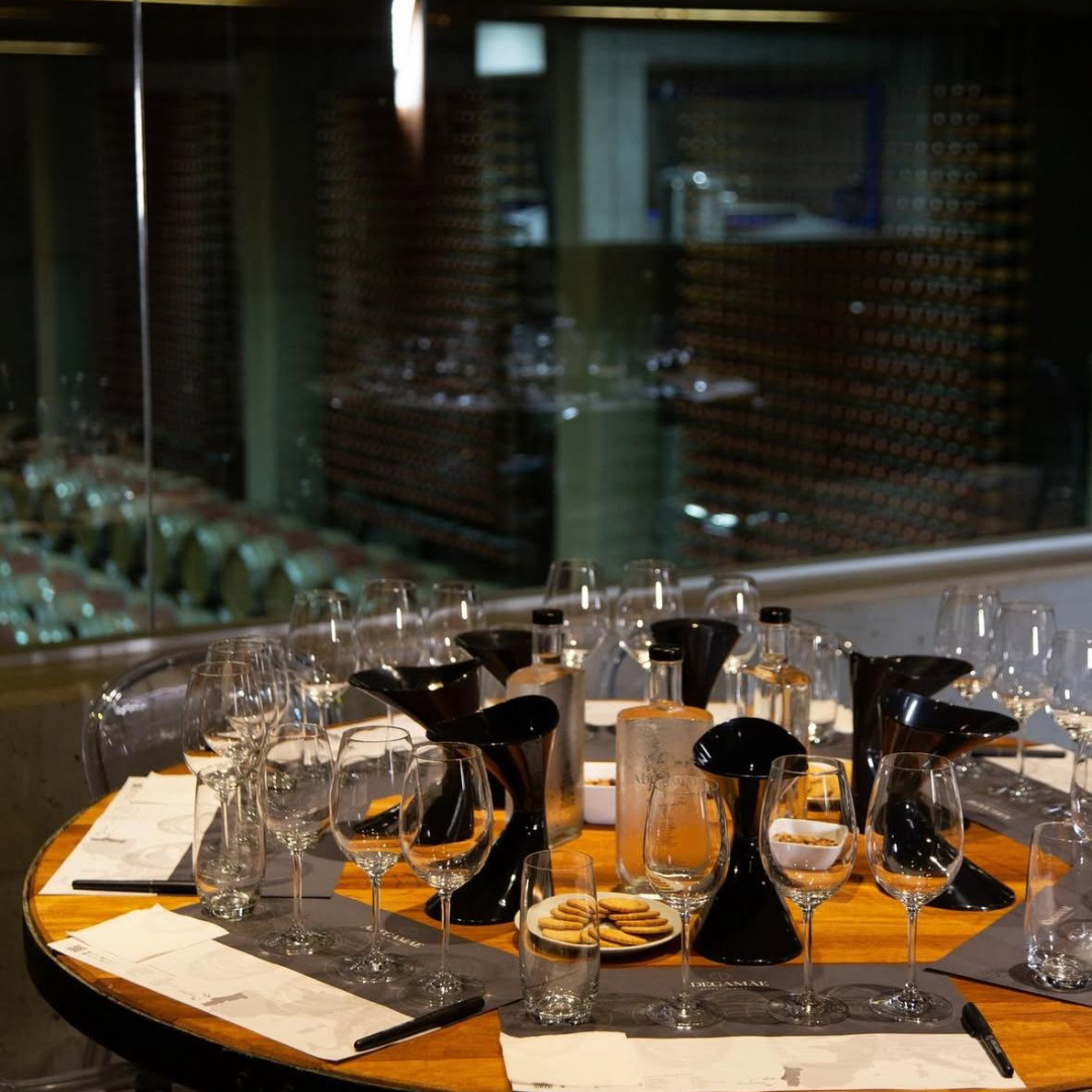 Adegamãe Gold - Visita e Prova de Vinhos