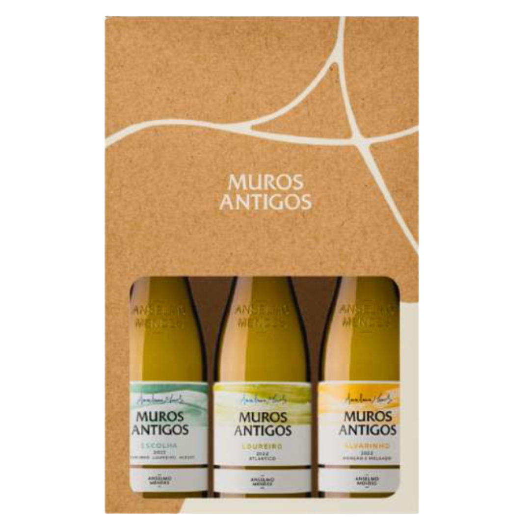 Conjunto Anselmo Mendes Muros Antigos
